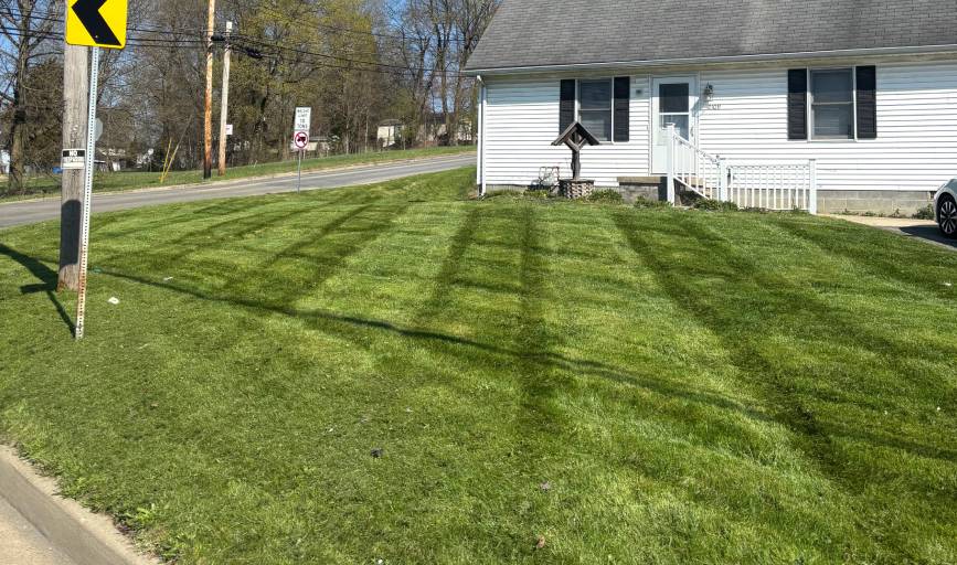 Lawn Mowing