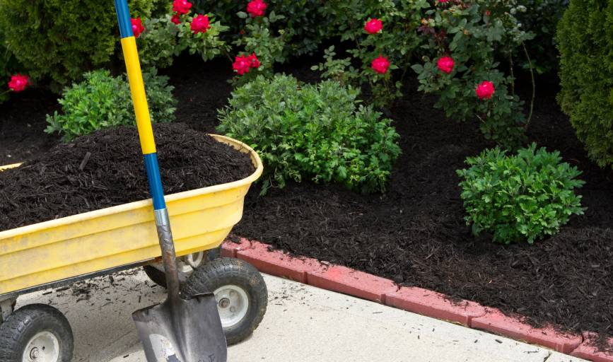 Mulching